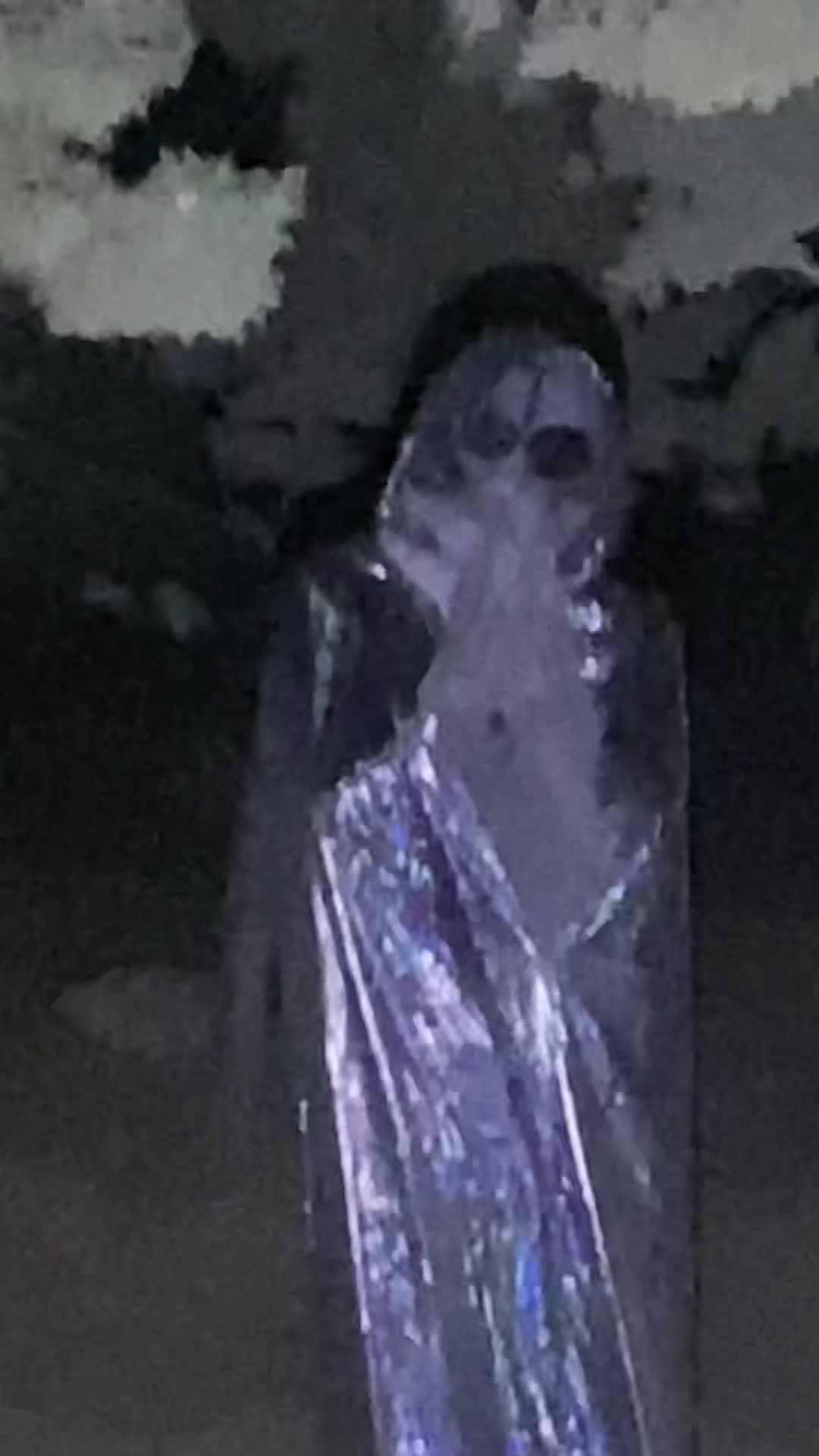 @حسن بربر