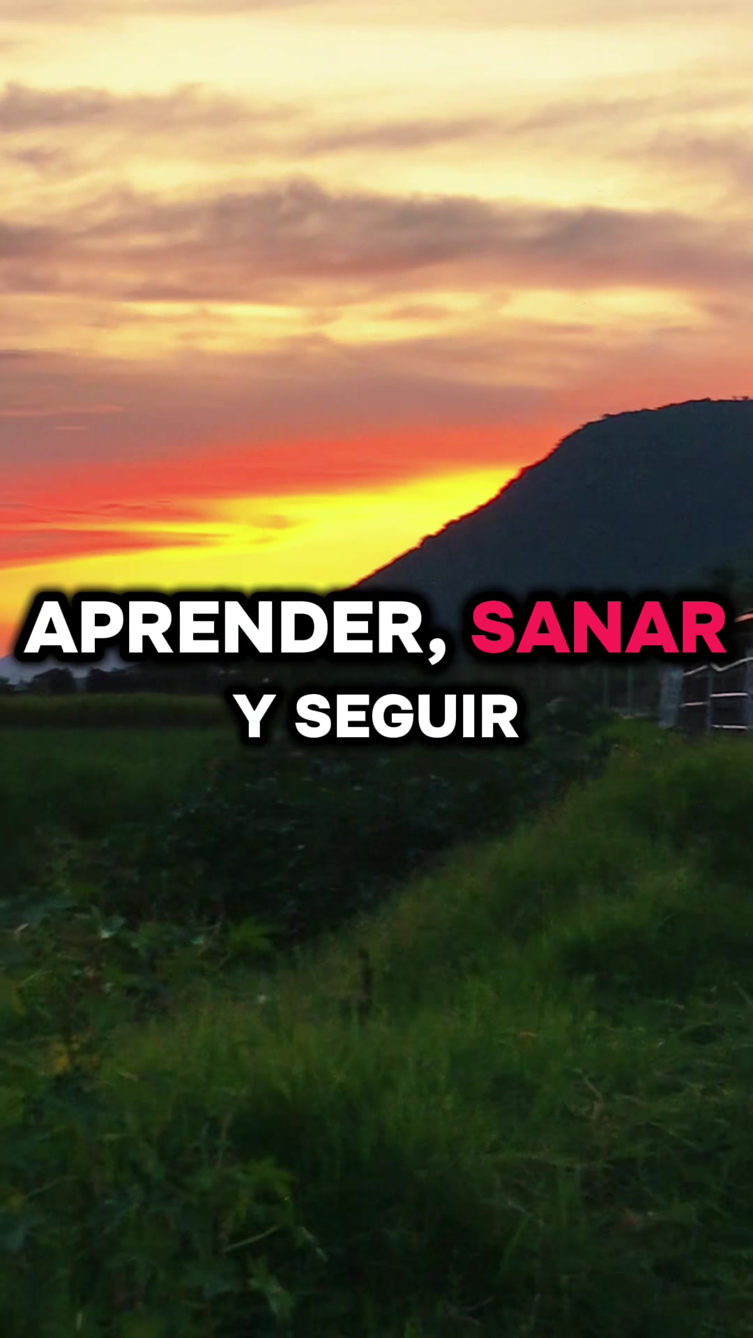 @DANY ALEX