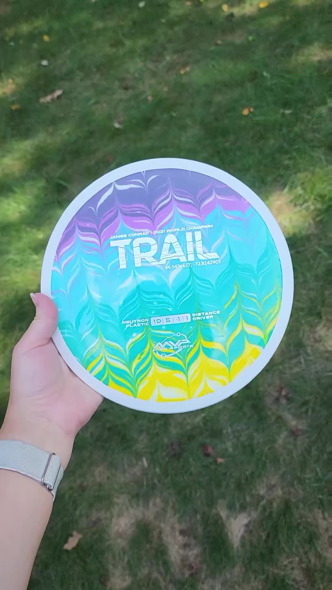 @DiscDyesByMelissa