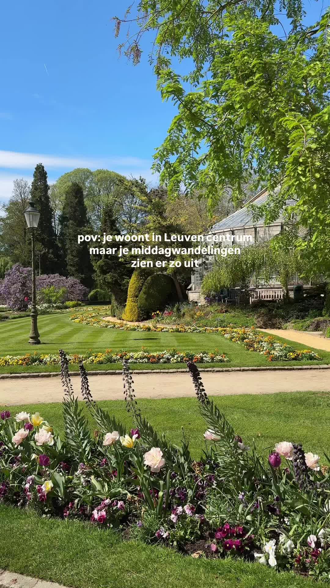 @flore__aline