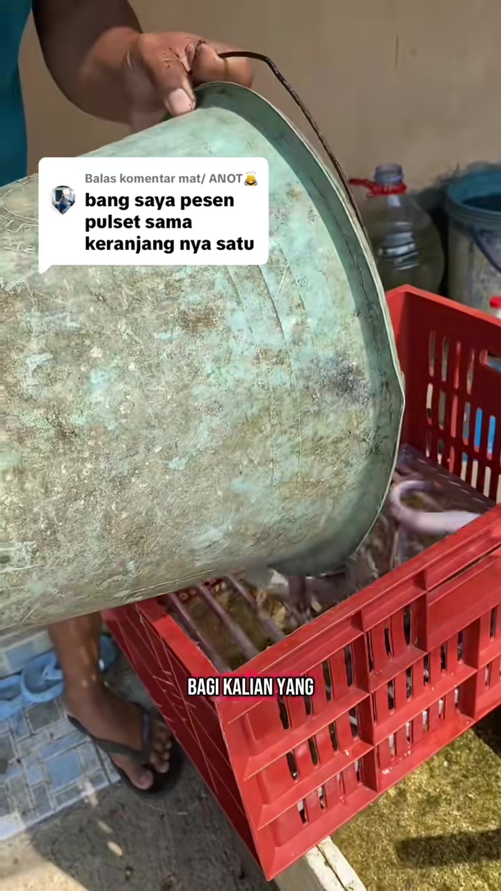 @NAMI TOKOKU