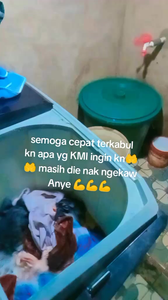 @vikka andraini