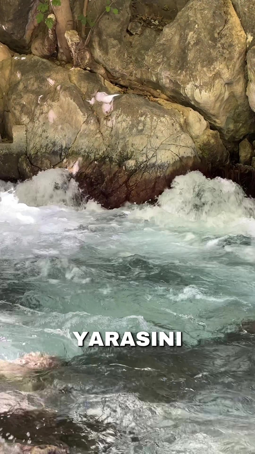 @🕊 AYNUR SRT 🕊