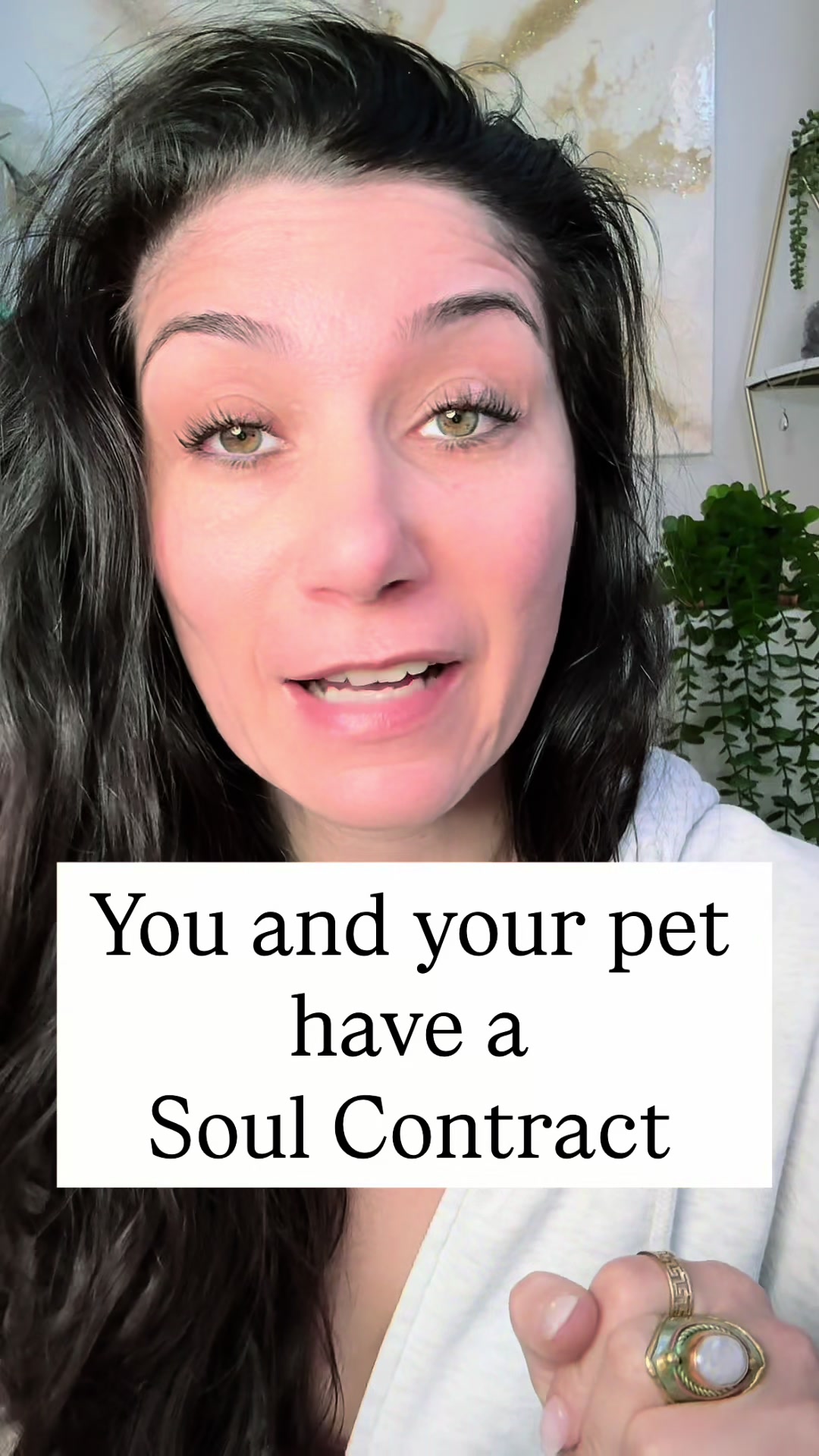@Soul Contracts Practitioner