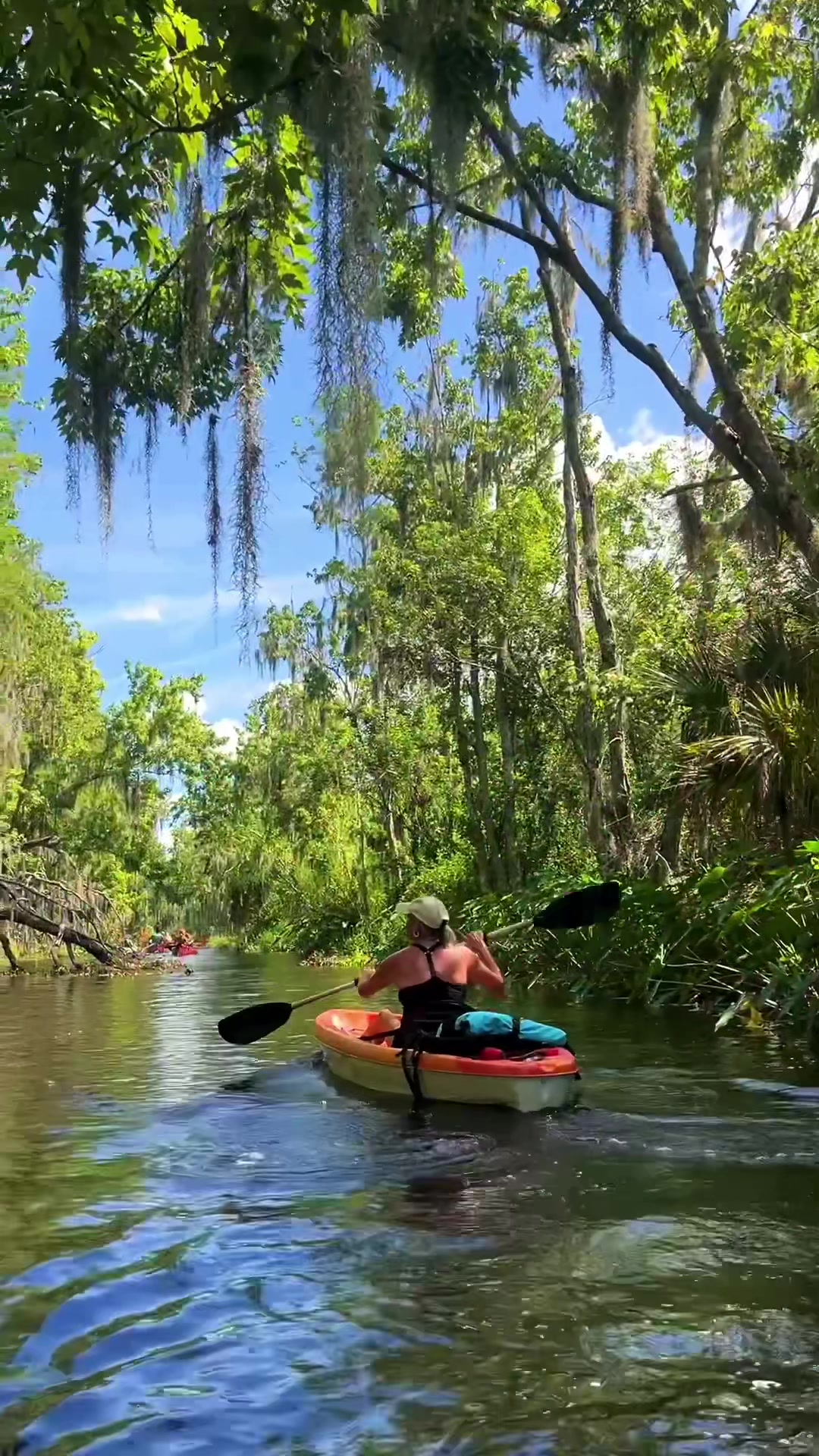 @Must See Florida