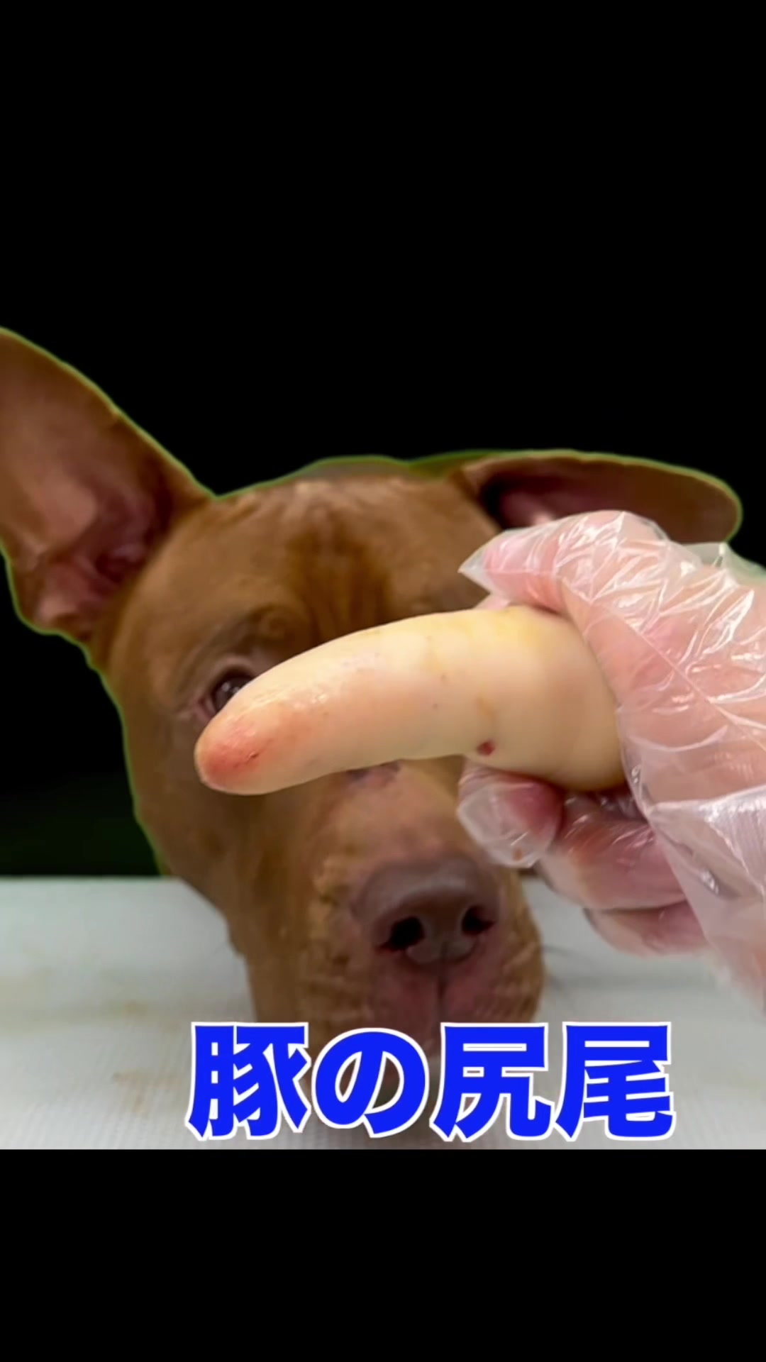 @バウンス　チャンネル