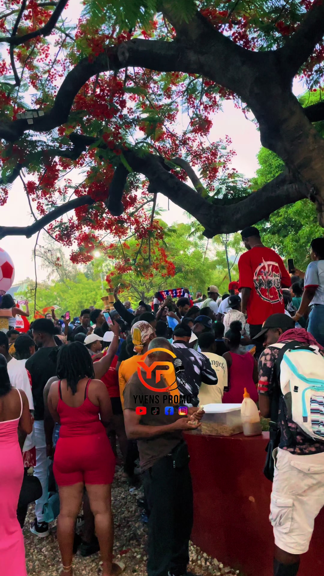 @Yvens promo🇭🇹😮&zwj;💨