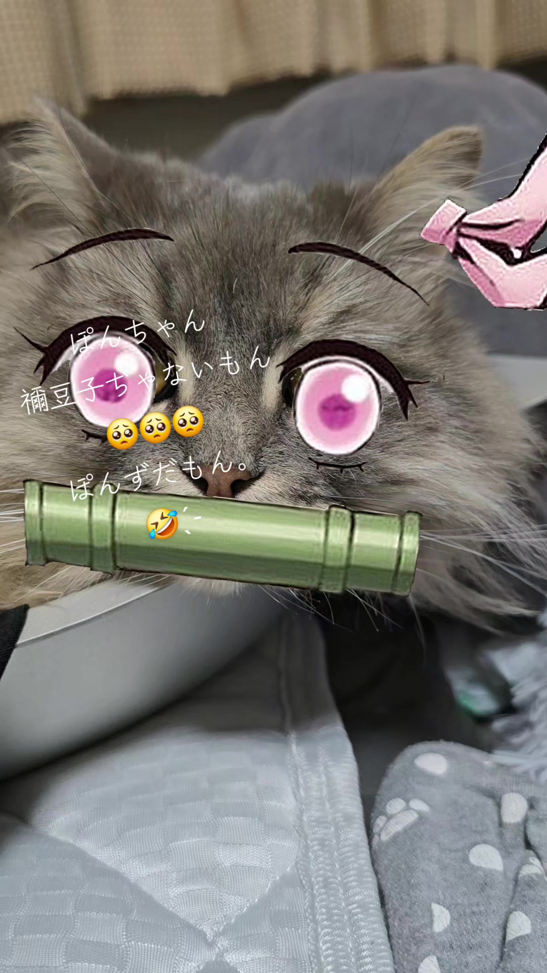 @✩.*˚絶対的ふみルん*˚☆