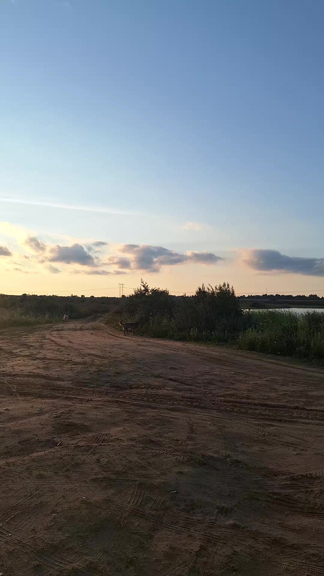 @💞дева💞