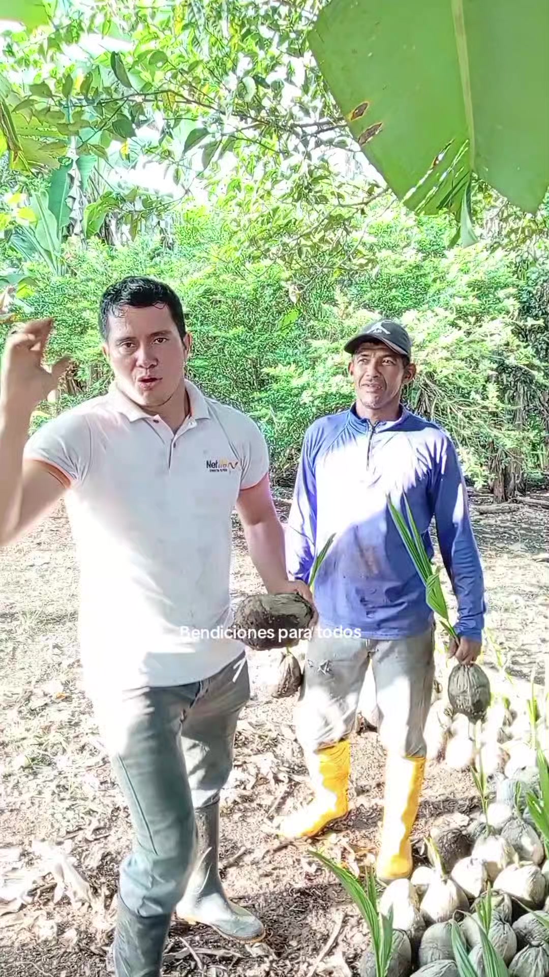 @Jairo desde el campo.