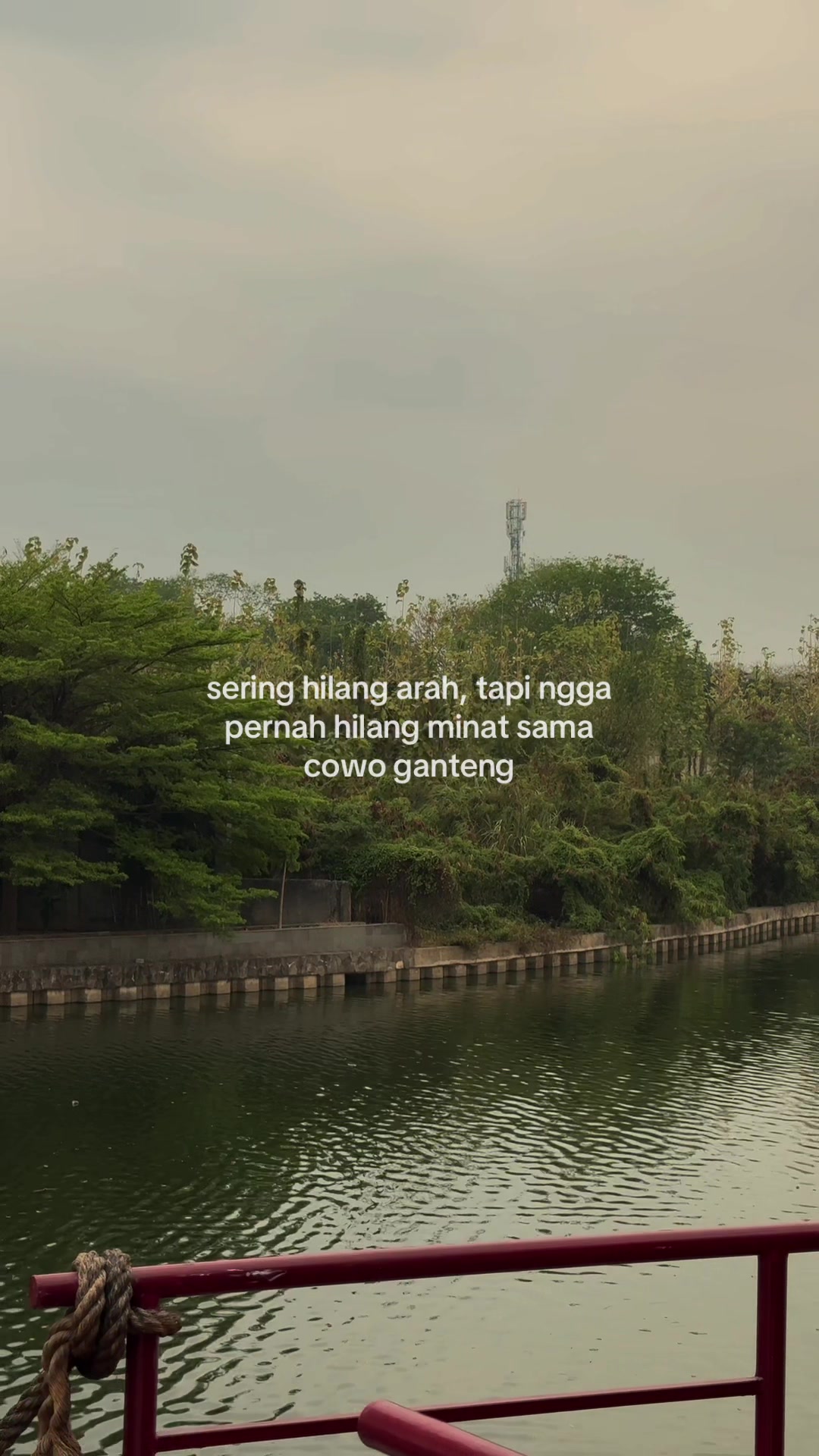 @𝗗𝗶𝗮𝗻𝘆