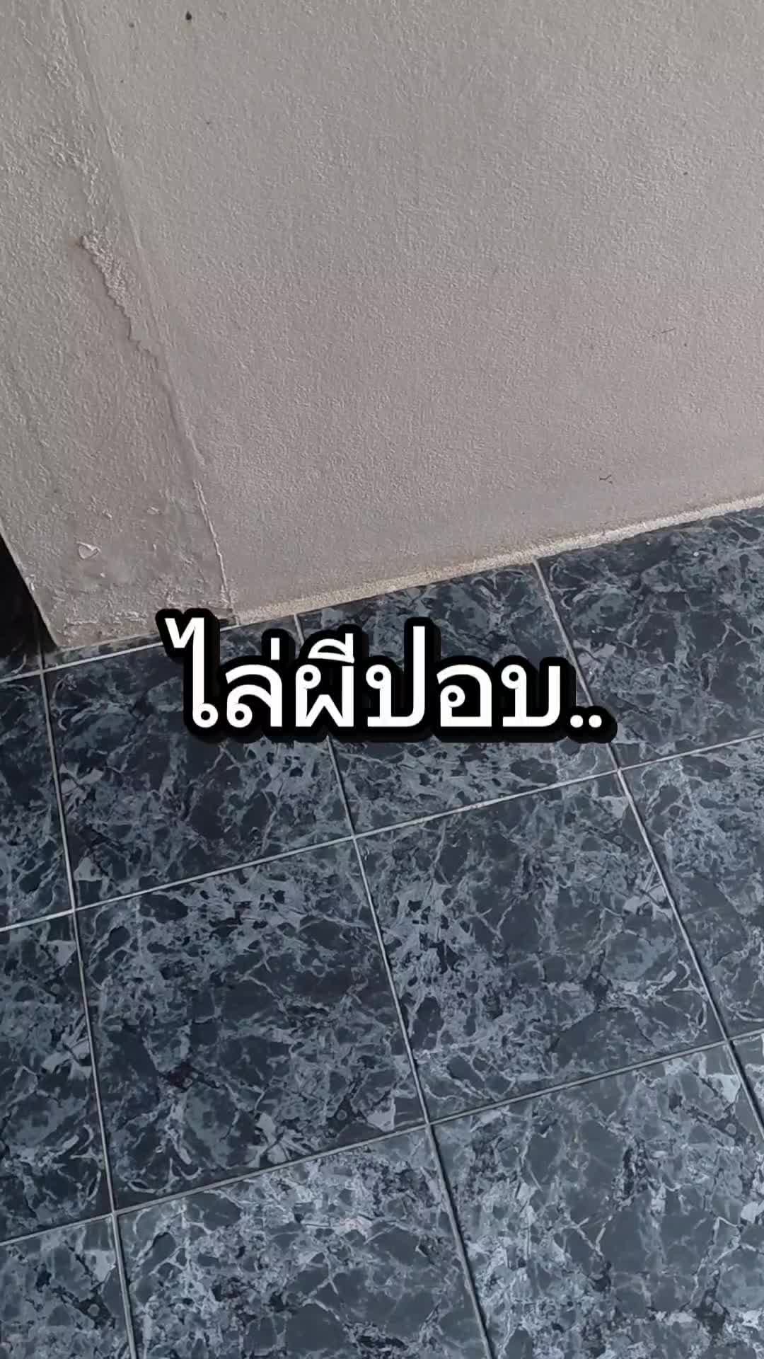 @โตโต้Shadow🎣
