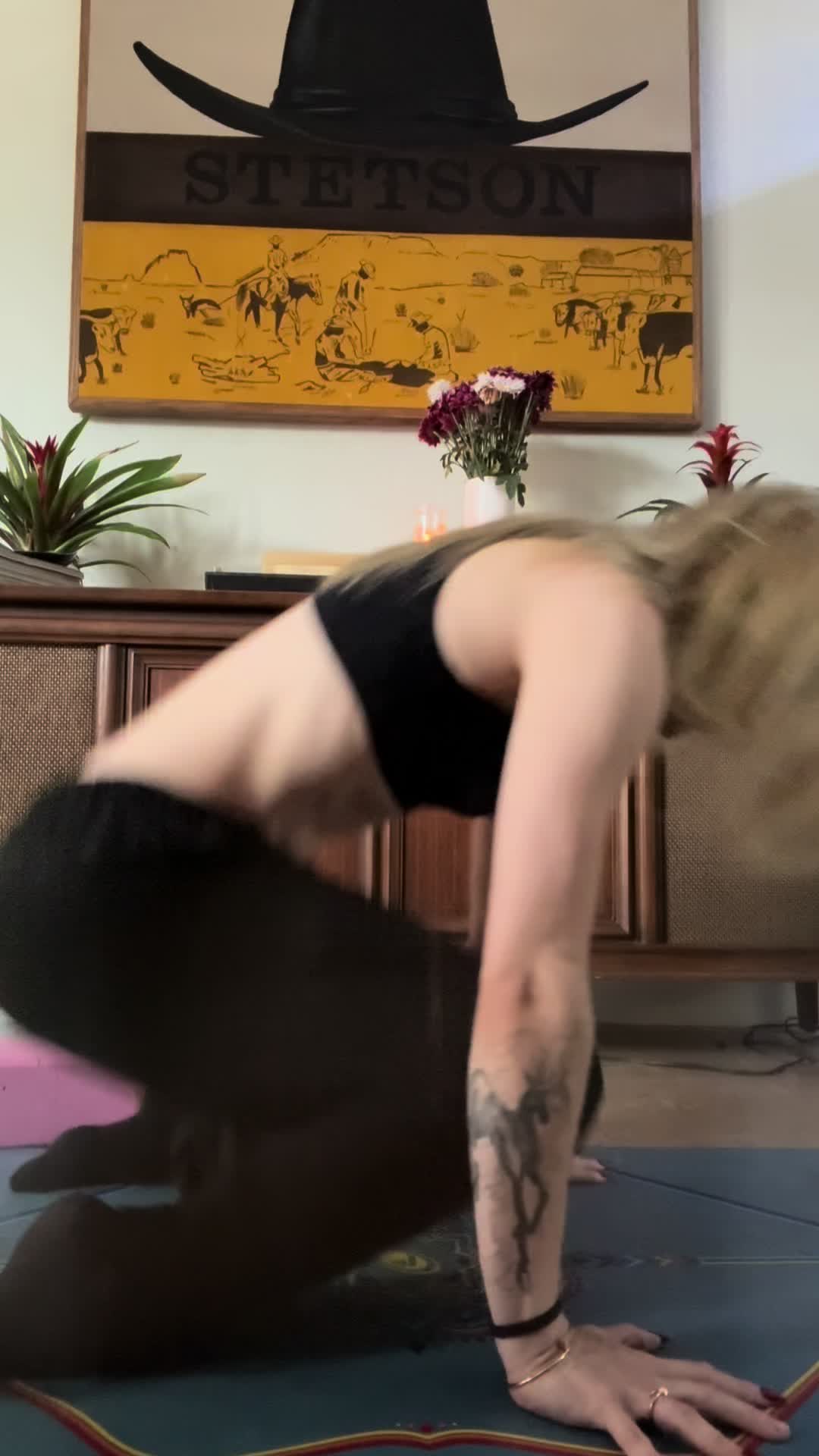 @dovediaries
