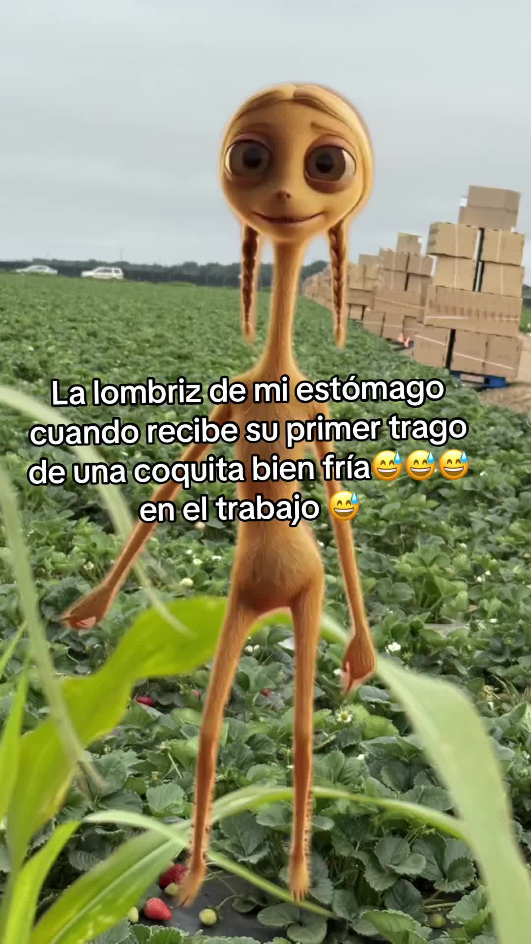 @floresitazz