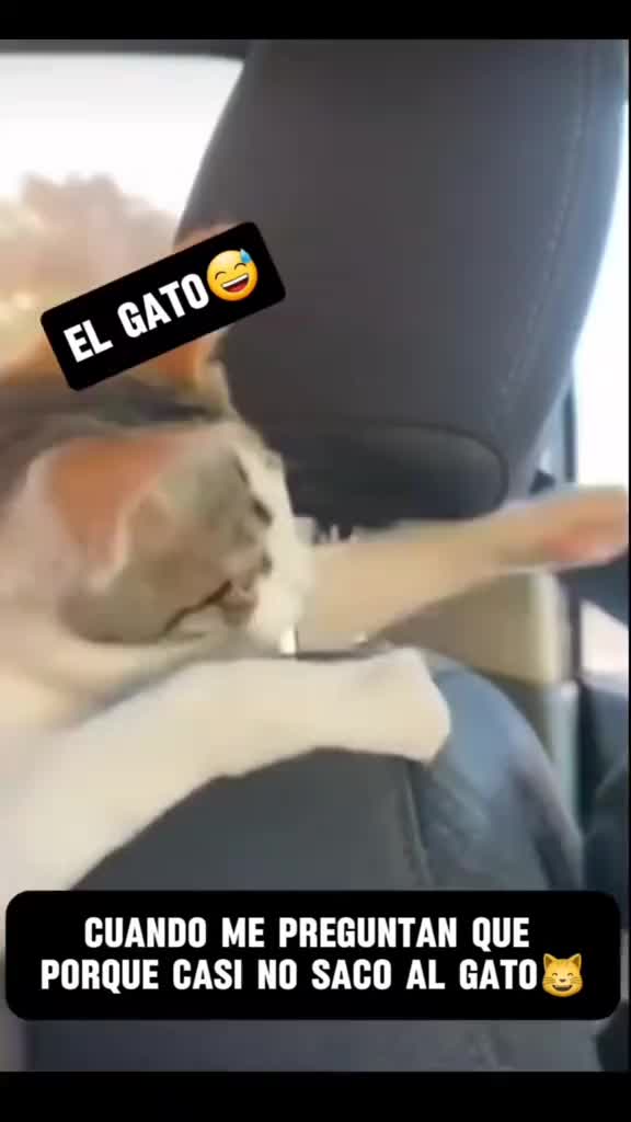 @Yoaran
