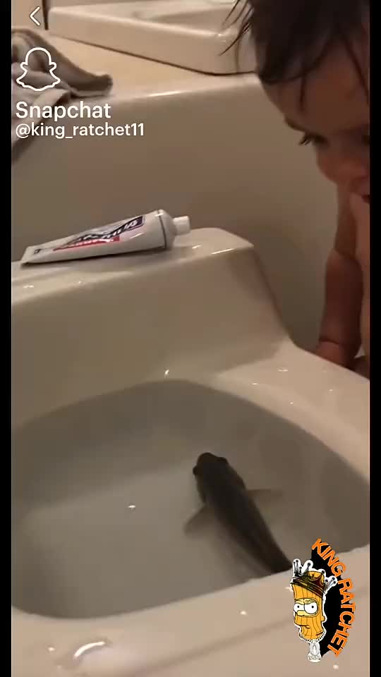 @𝓛𝓮𝓻𝓸𝔂𝓖𝓣𝓪𝓾𝓻𝓾𝓼