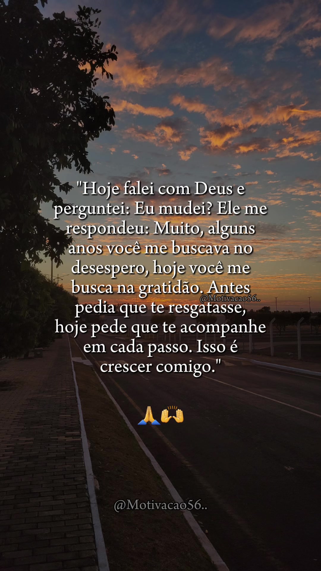 @Elaine Oliveira