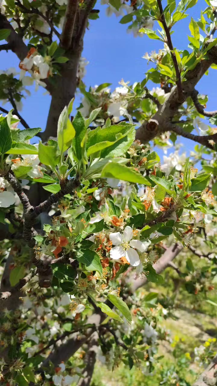 @rustem7027