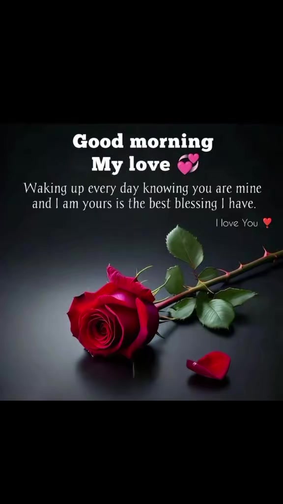 @love quotes ❤️