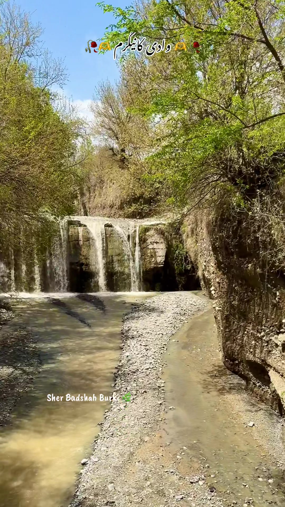 @𝐒𝐡𝐞𝐫 𝐁𝐚𝐝𝐬𝐡𝐚𝐡 🌿
