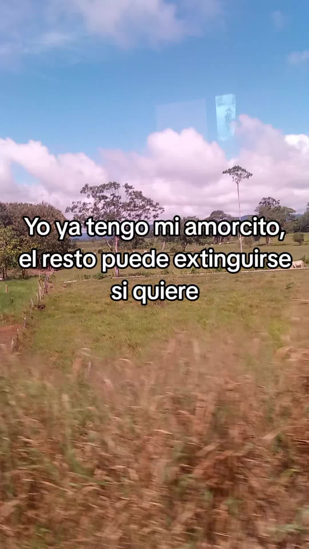@Josu
