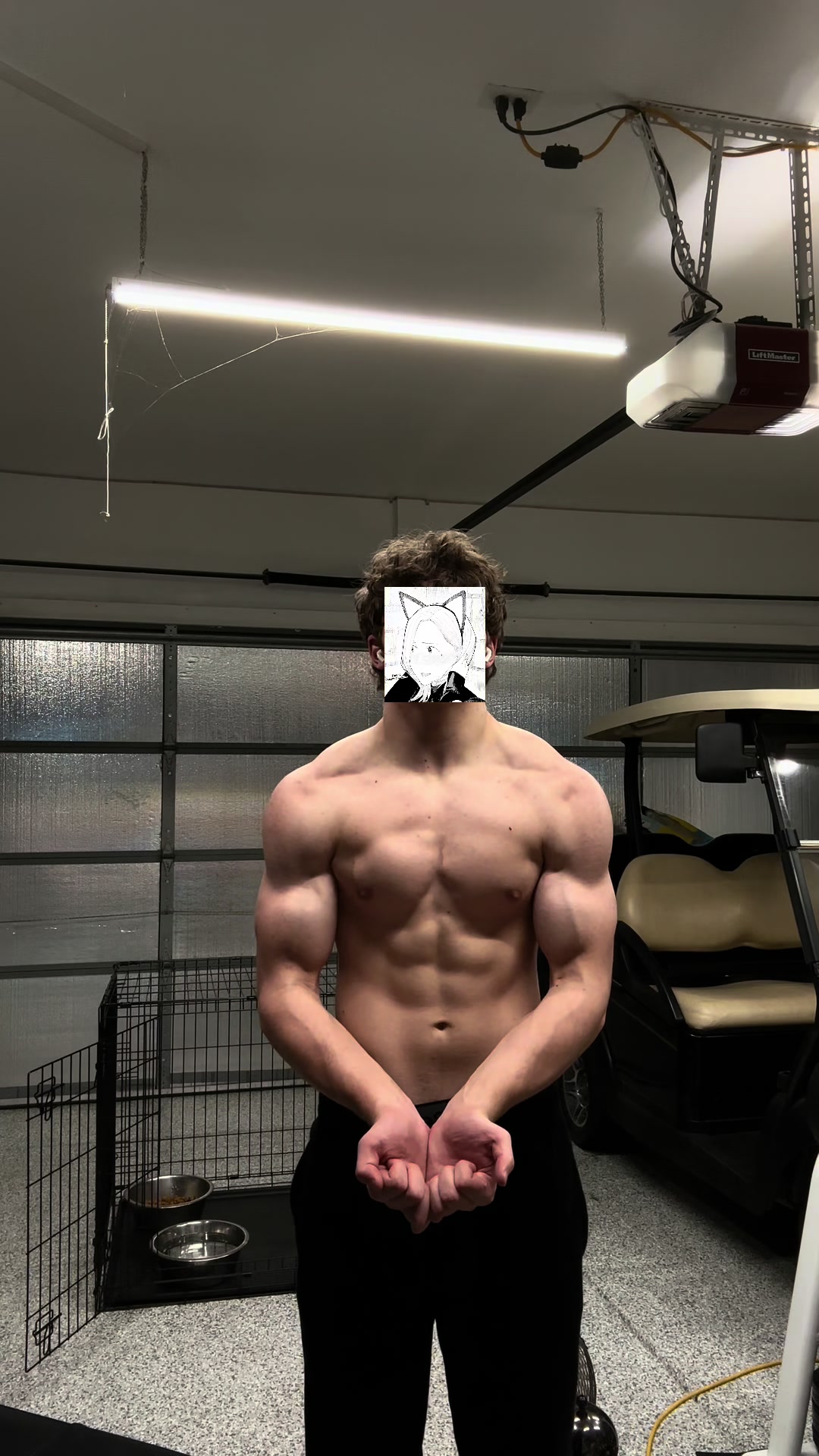 @fullmetalALC