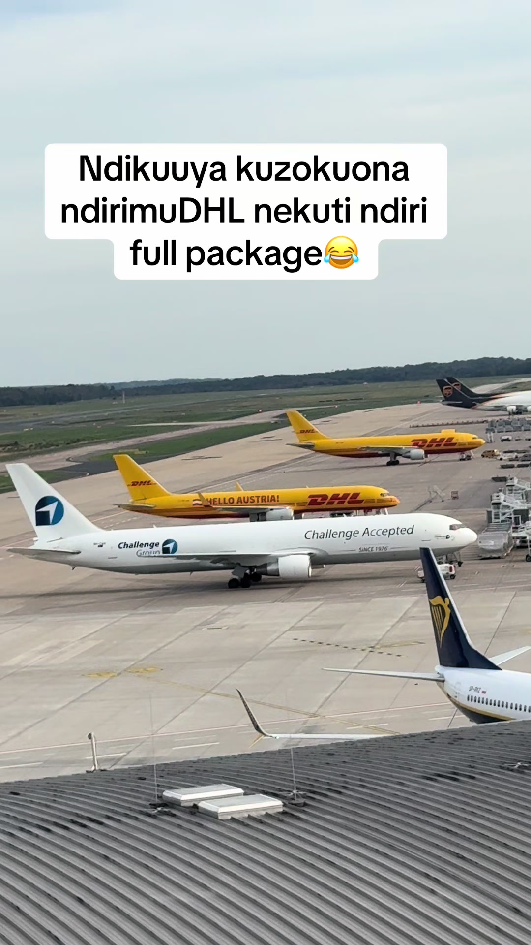 @zim_coolest_gogo