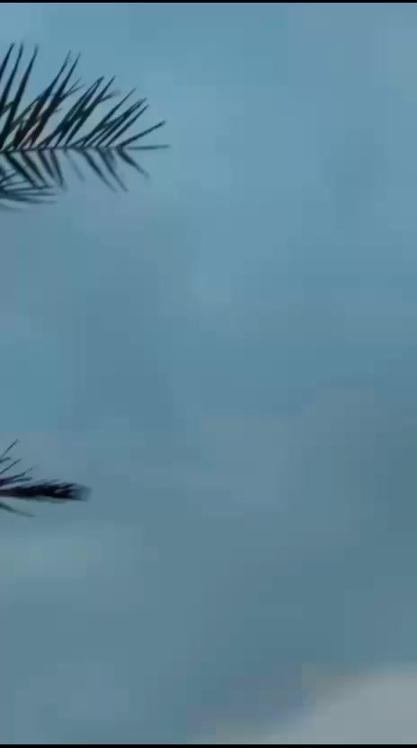 @saeedkakar00