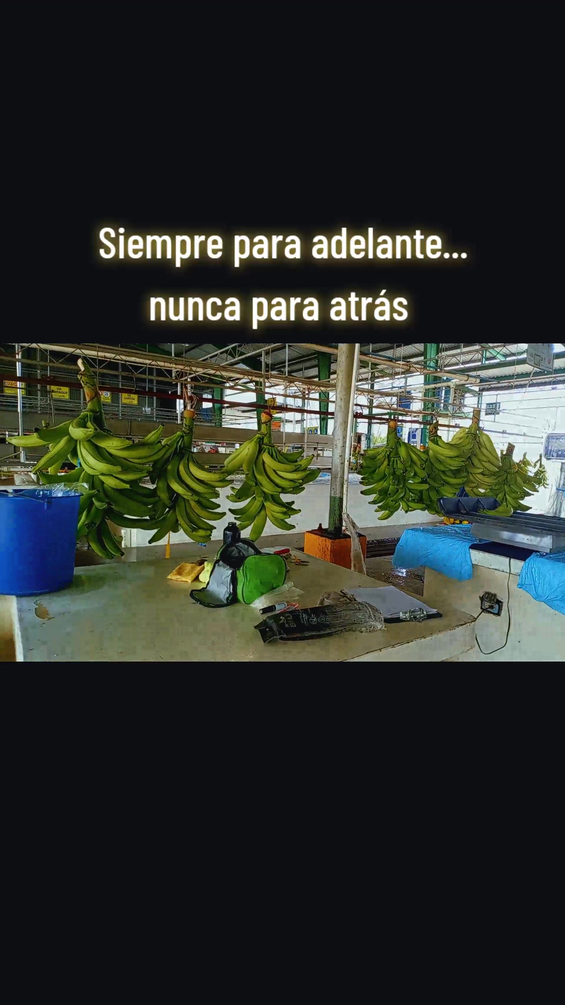 @Vicky vicky