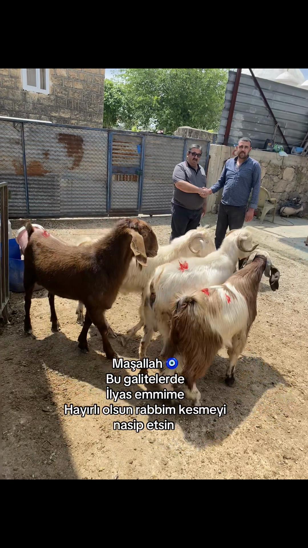 @Güven897