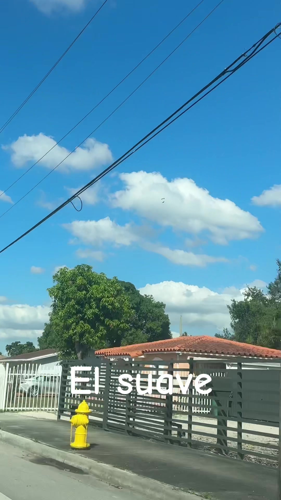 @Julio Emilio Mendez