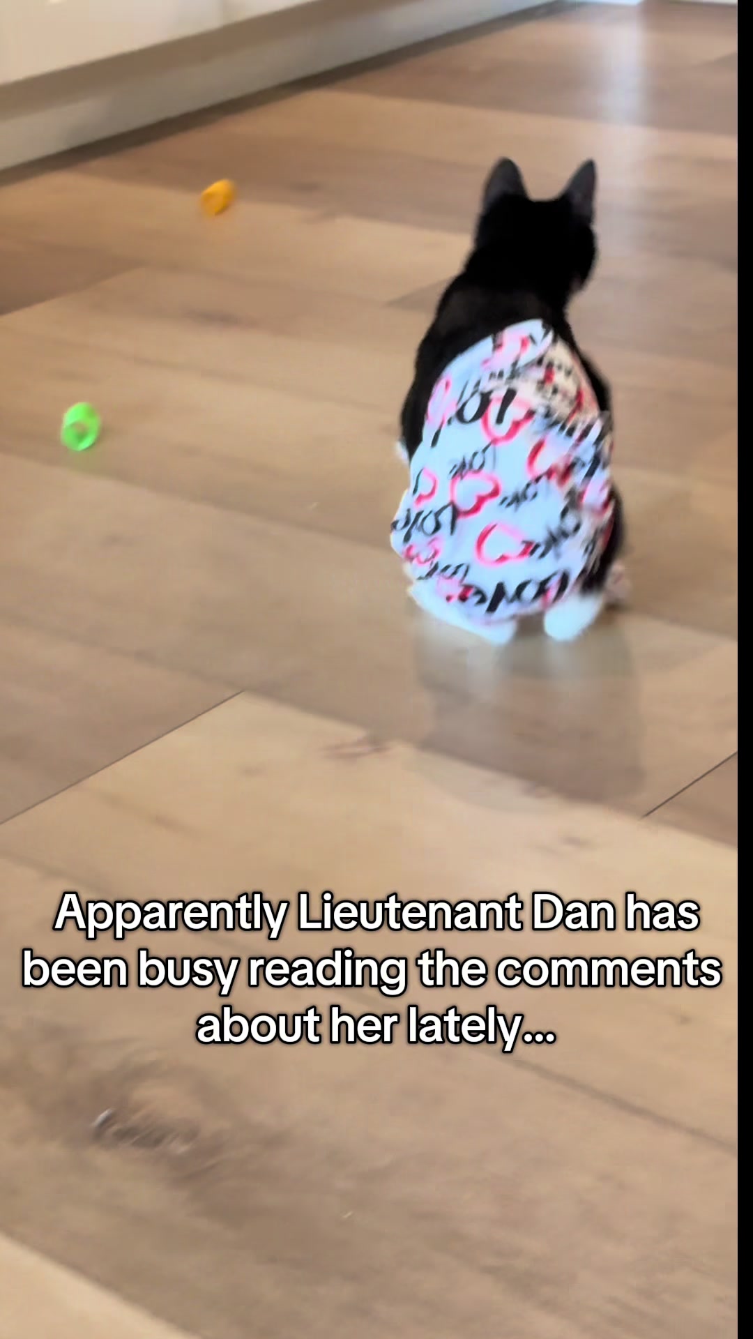 @soccercatmom