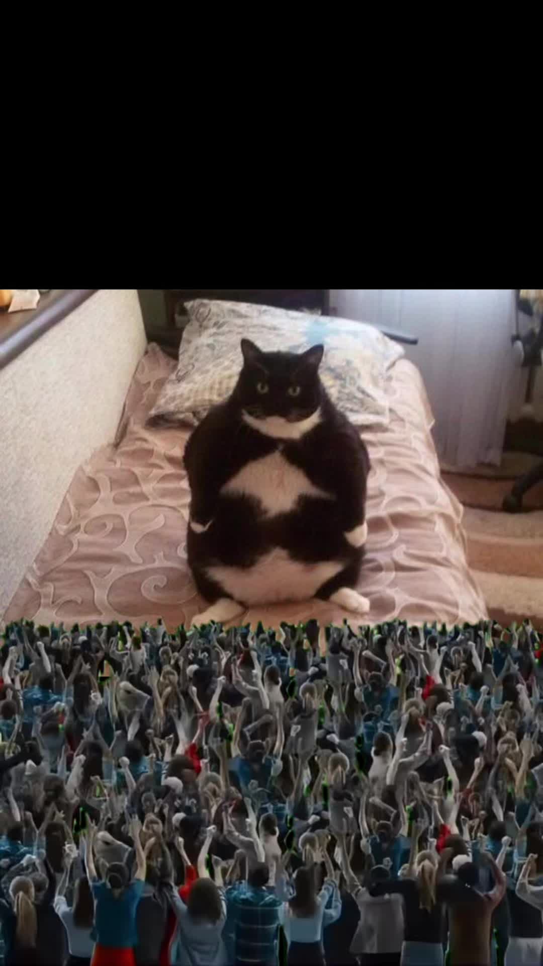 @✨✨✨