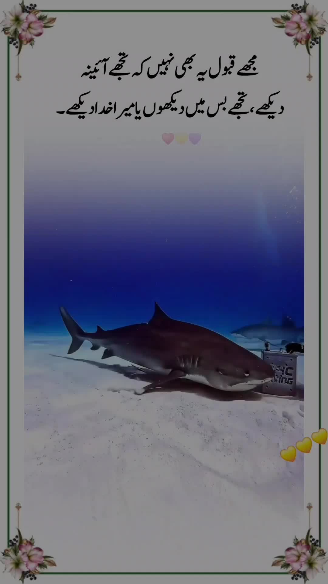 @💔𝐈𝐬𝐡𝐪 𝐊𝐢 𝐒𝐚𝐳𝐚😭