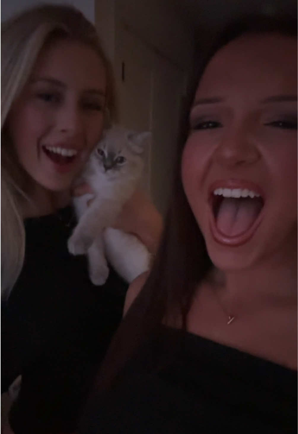 @Ella