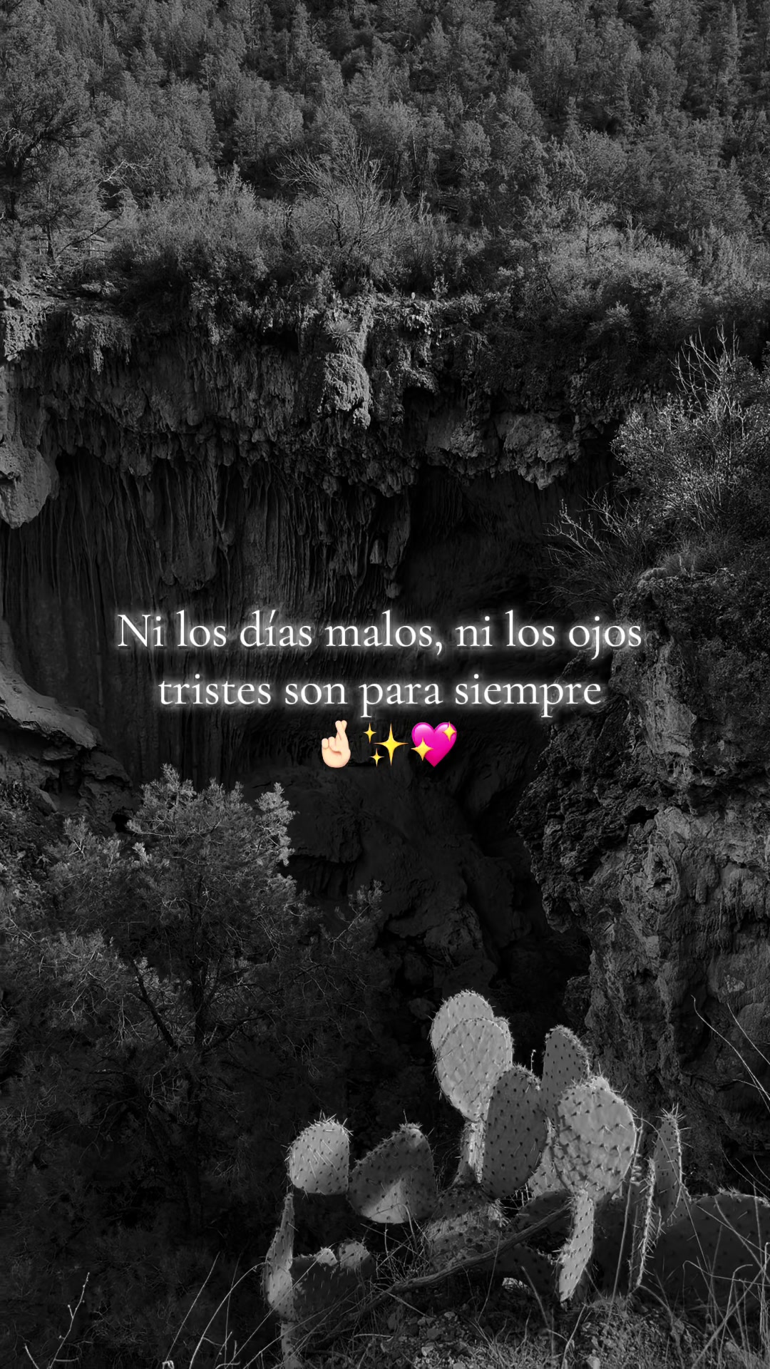 @La Mari