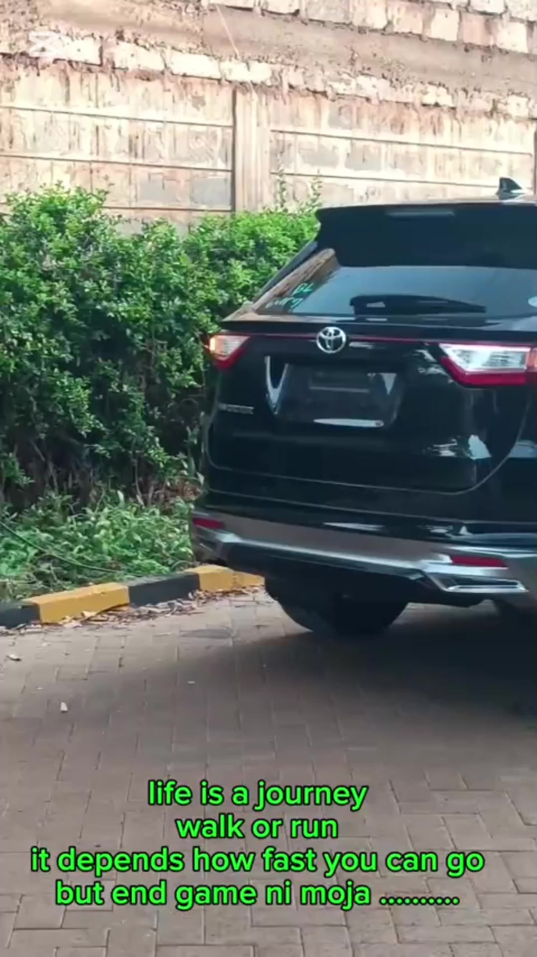 @JOLYD motors