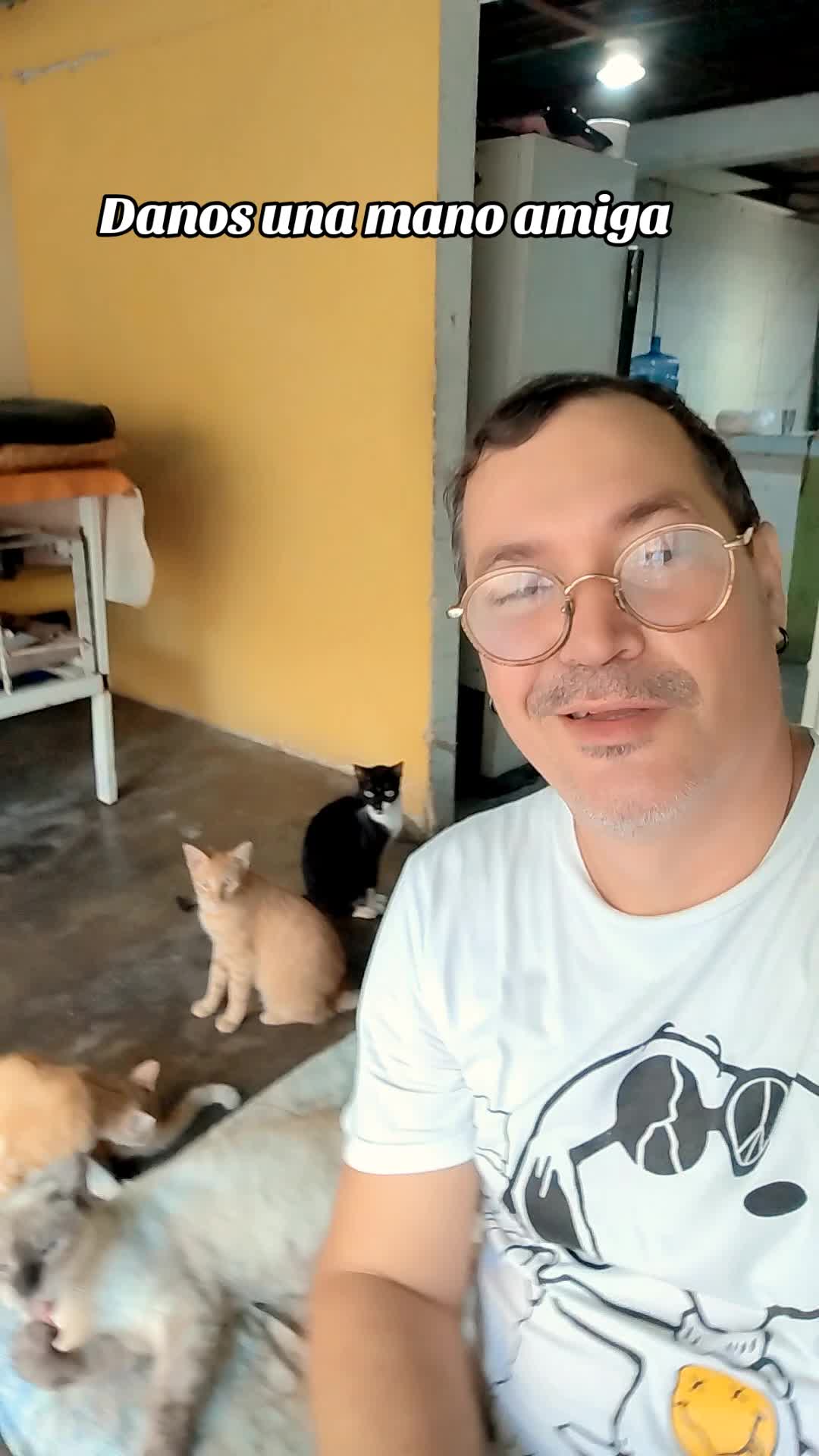 @Patitas y Garritas en la Calle