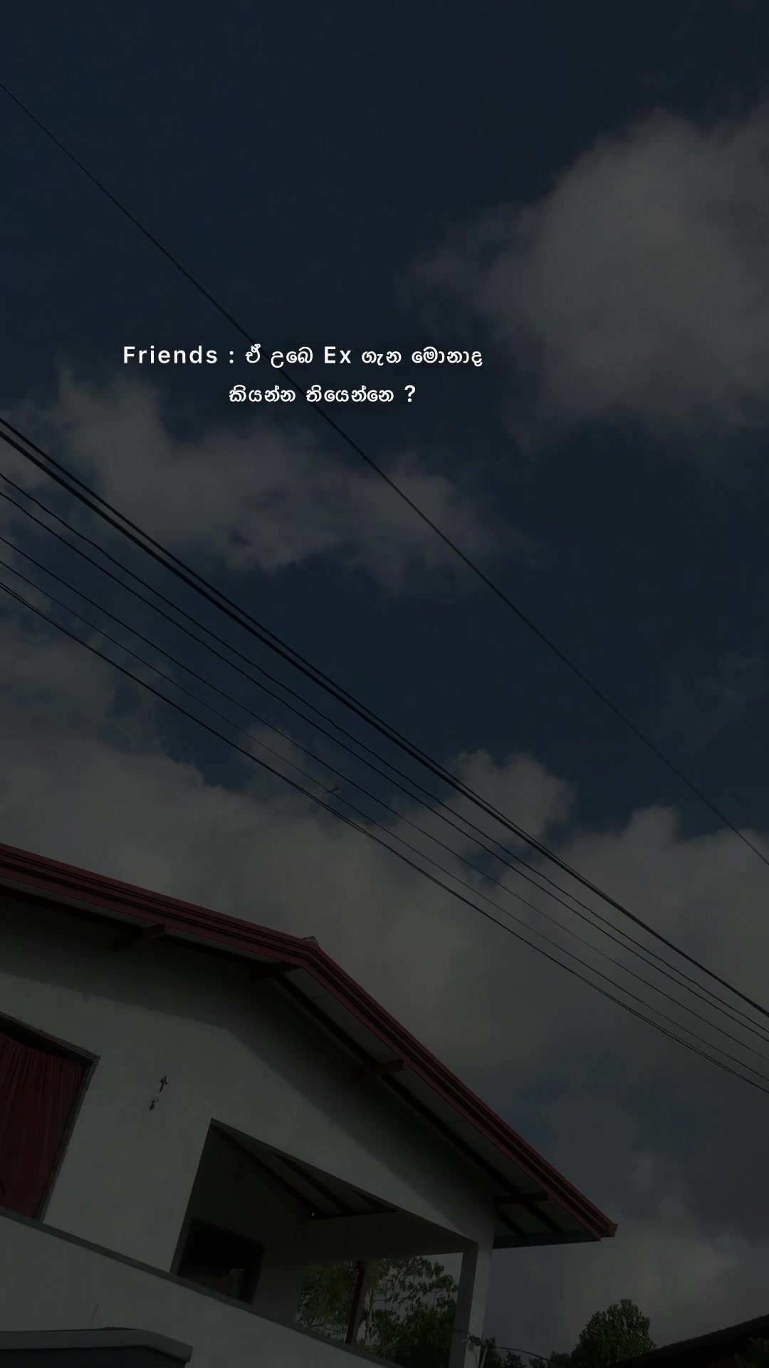 @𝚃𝙷𝙴 𝙲𝙷𝙰𝙺𝚈 |😸