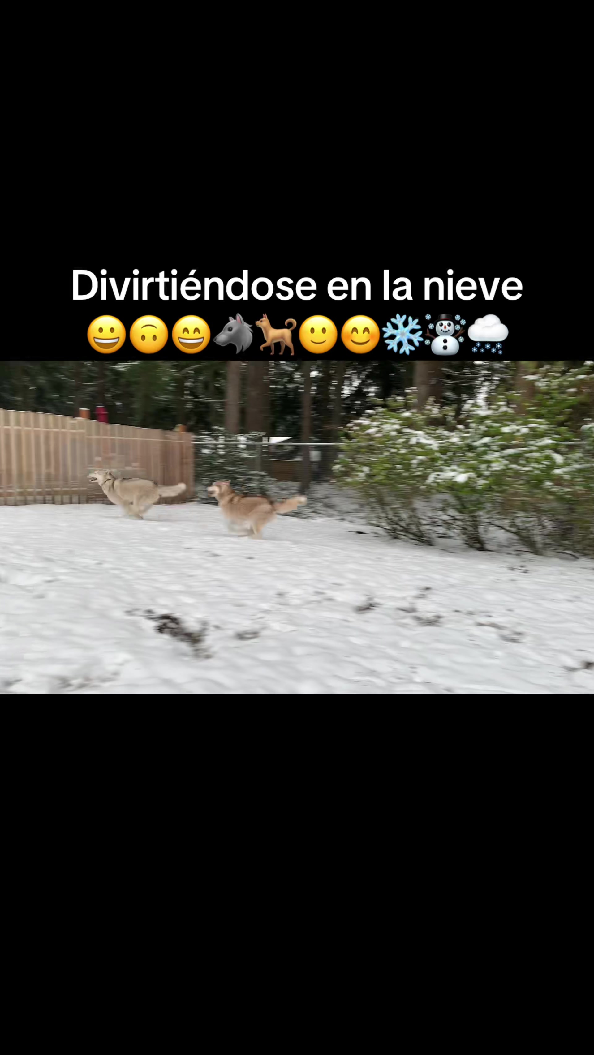 @janolouis95