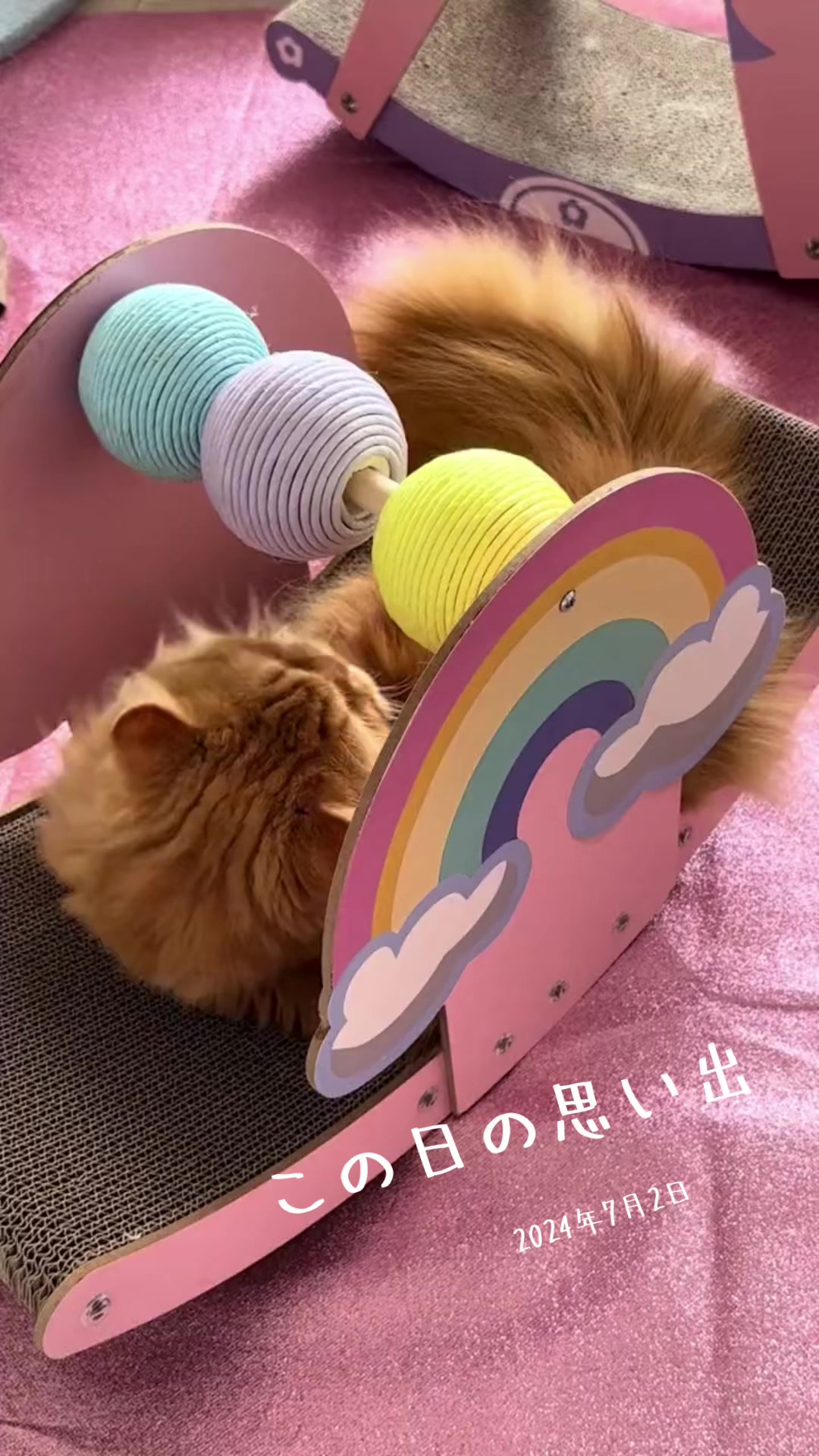 @🌈ピーター6🌈