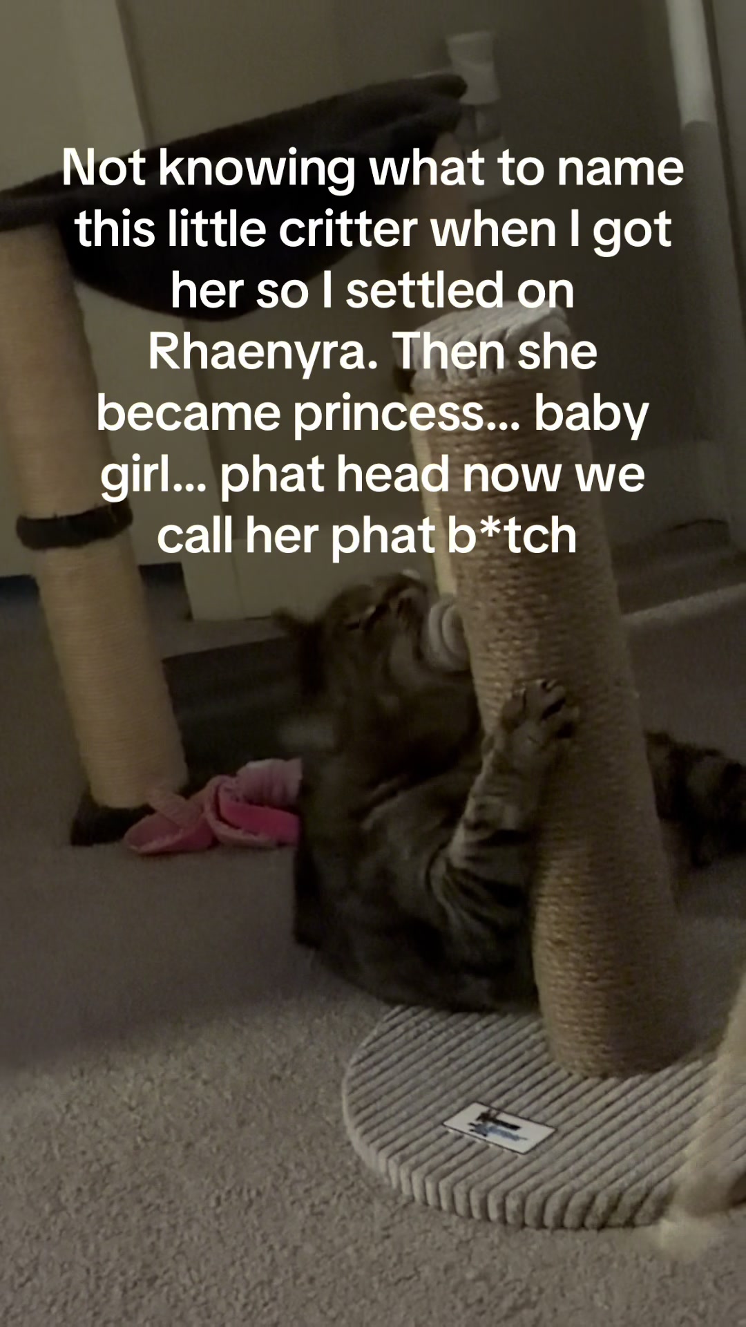 @brimpearl