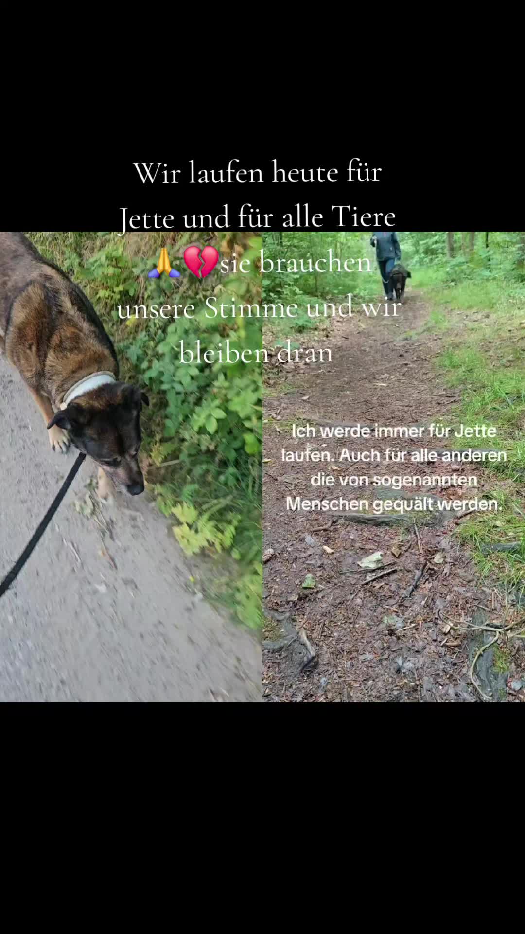 @💝Olle💜Emma🤎Fritz💟Mutti💌