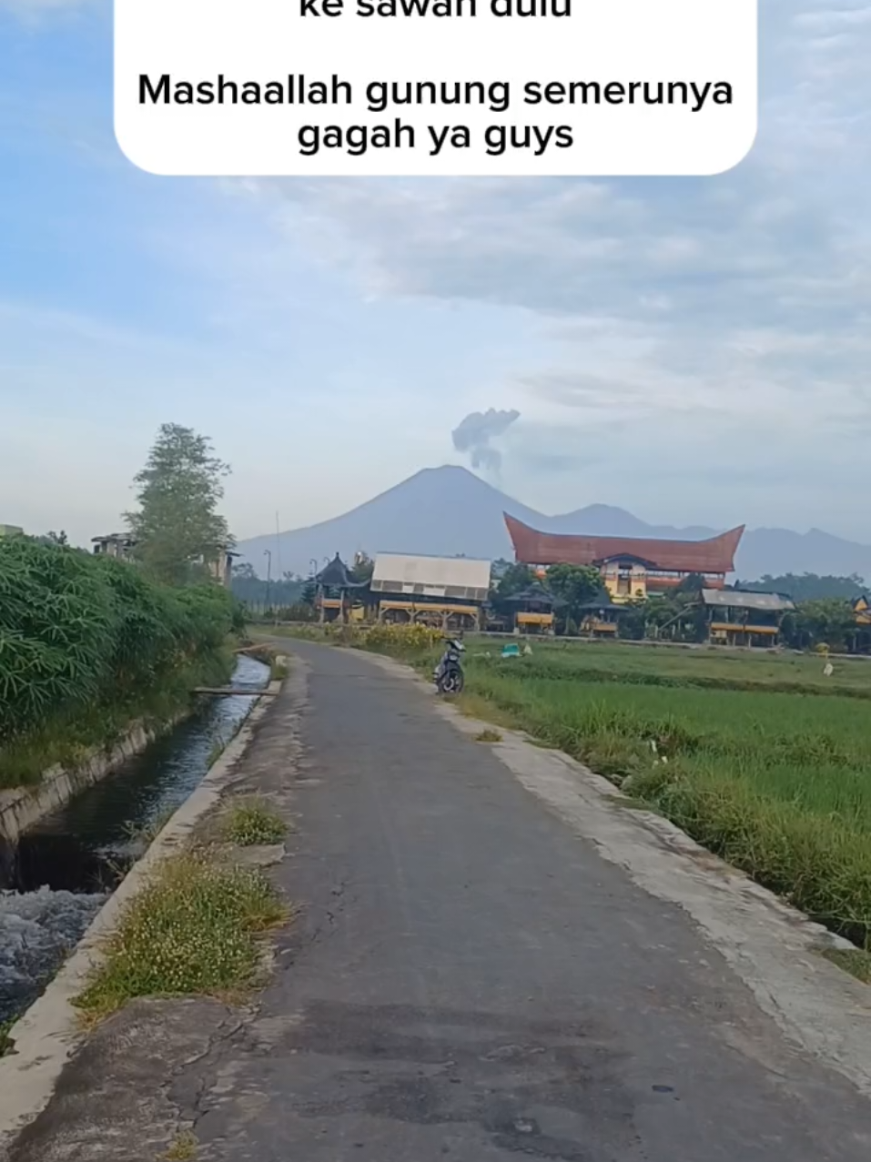 @Ana Firmala