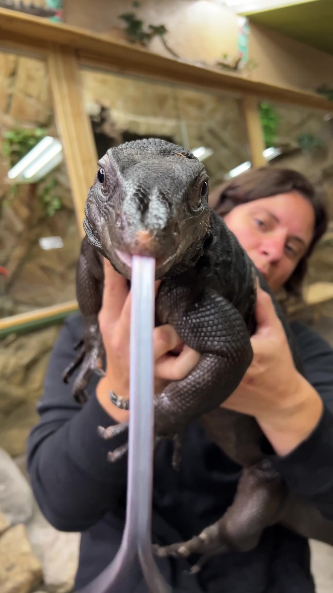 @The Reptile Zoo