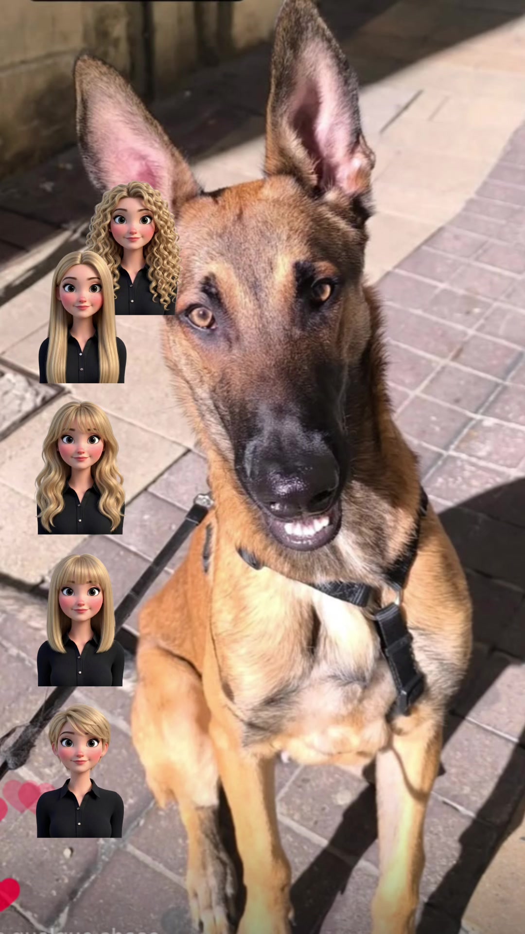 @๐๐ZelDraw๐๐