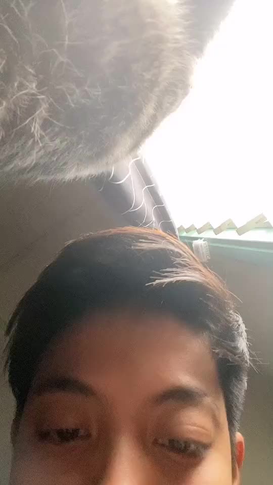 @Adyy