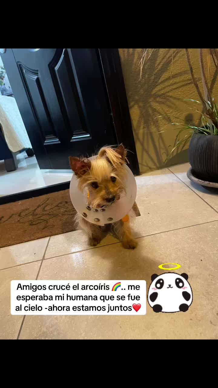 @sandra yepez