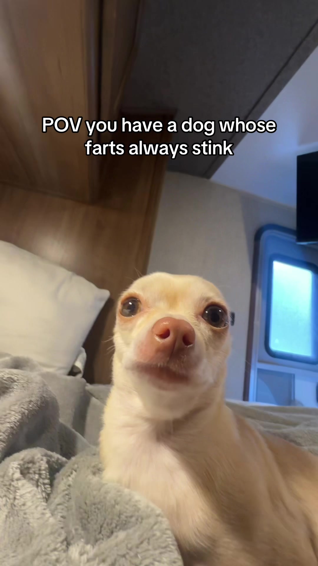 @Gio + Emmy