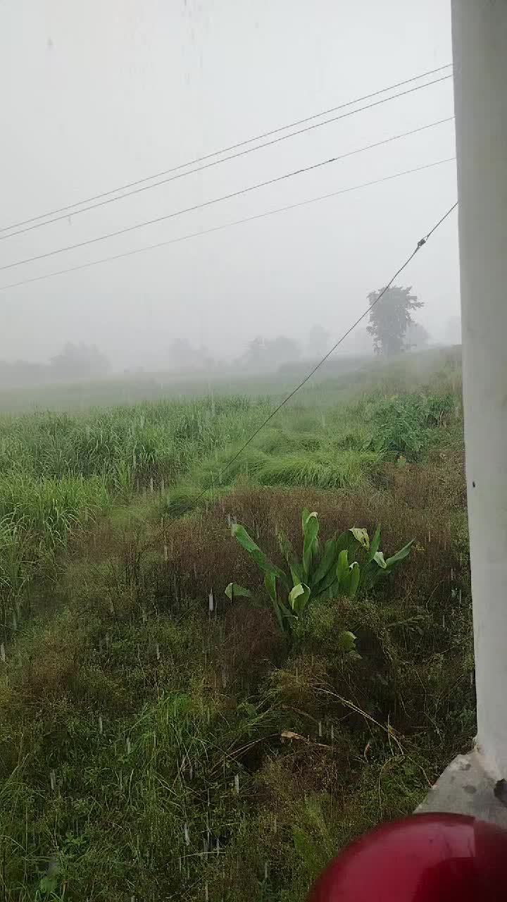 @मौर्यवन्सि🫀 बलम जि ☠️कुश्वाहा